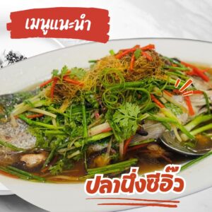 เมนูแนะนำ
